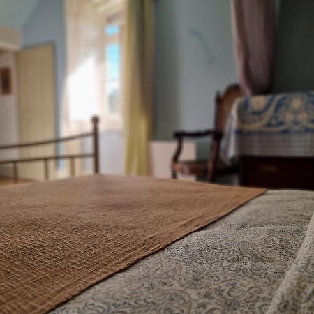 Monte Frio Alpacas Villa Nariz Bagian luar foto