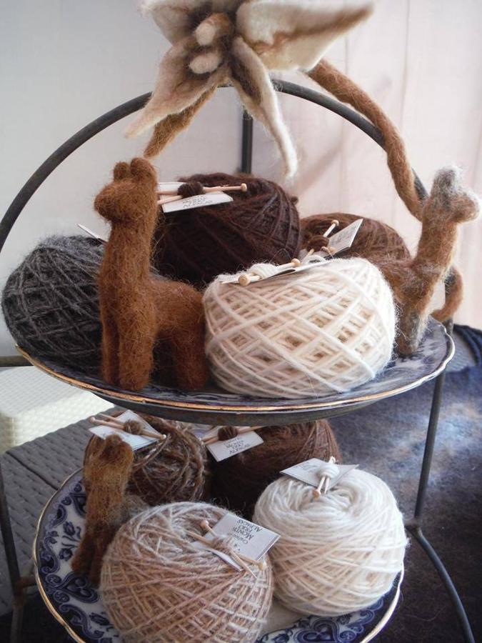 Monte Frio Alpacas Villa Nariz Bagian luar foto
