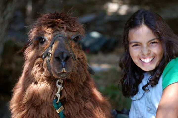 Monte Frio Alpacas Villa Nariz Bagian luar foto