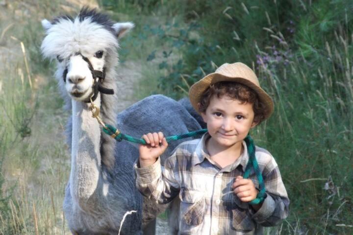 Monte Frio Alpacas Villa Nariz Bagian luar foto
