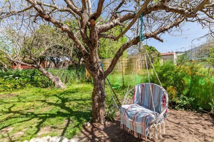 Monte Frio Alpacas Villa Nariz Bagian luar foto