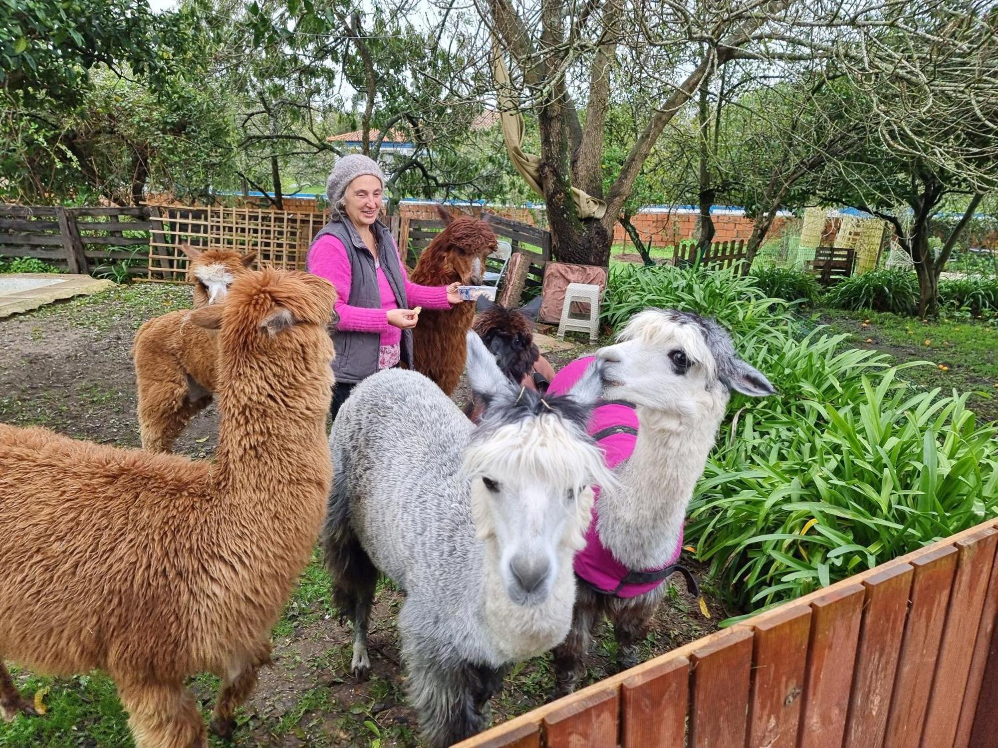 Monte Frio Alpacas Villa Nariz Bagian luar foto